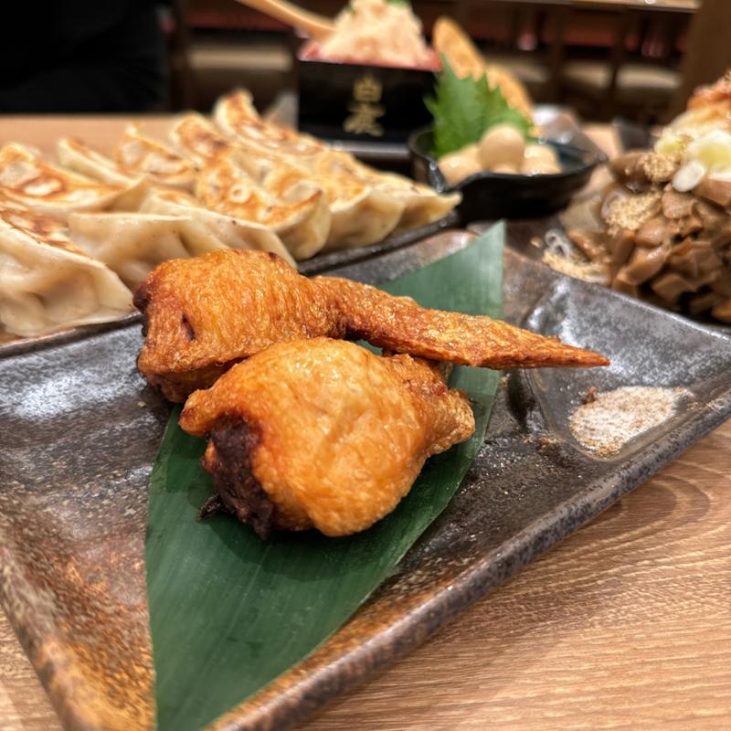 手羽餃子(肉汁餃子のダンダダン 栄住吉店)