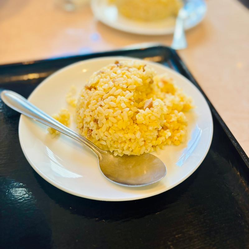 半炒飯(天府城 （てんぷじょう）)