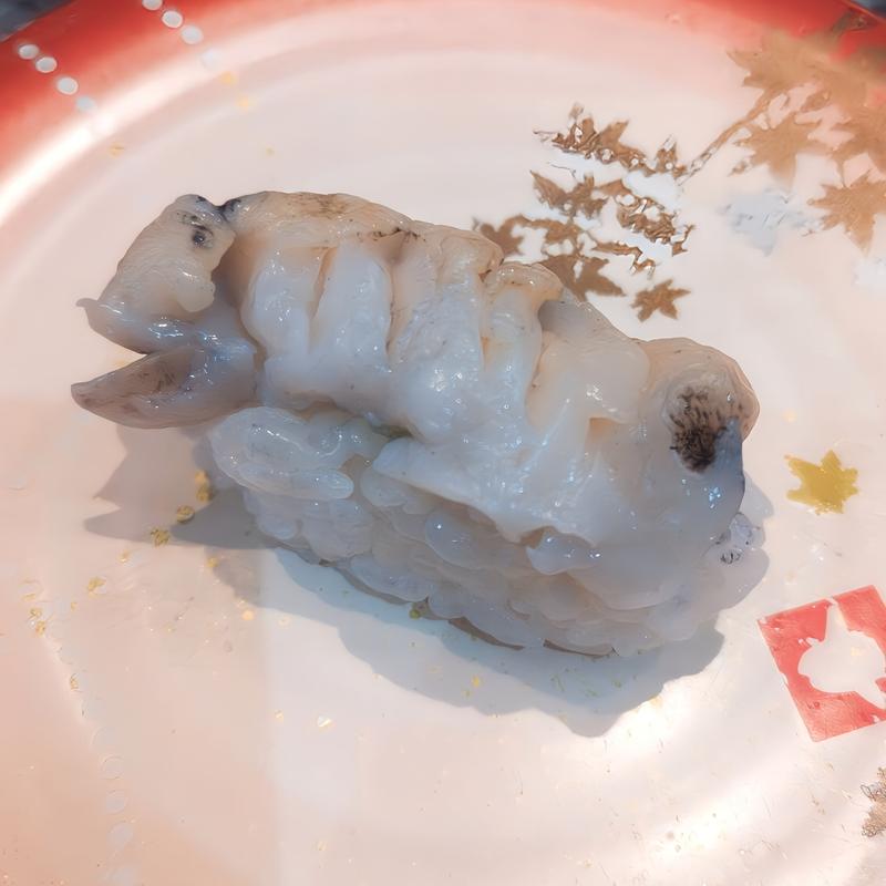 活ツブ貝(北の匠　回転寿しクリッパー 白老店 )