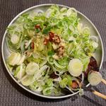 バカネギたん(泥亀 （ドロガメ）)