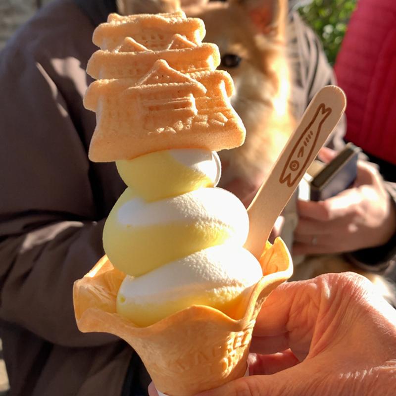 レモンミックスソフト(小田原漁港プリン)