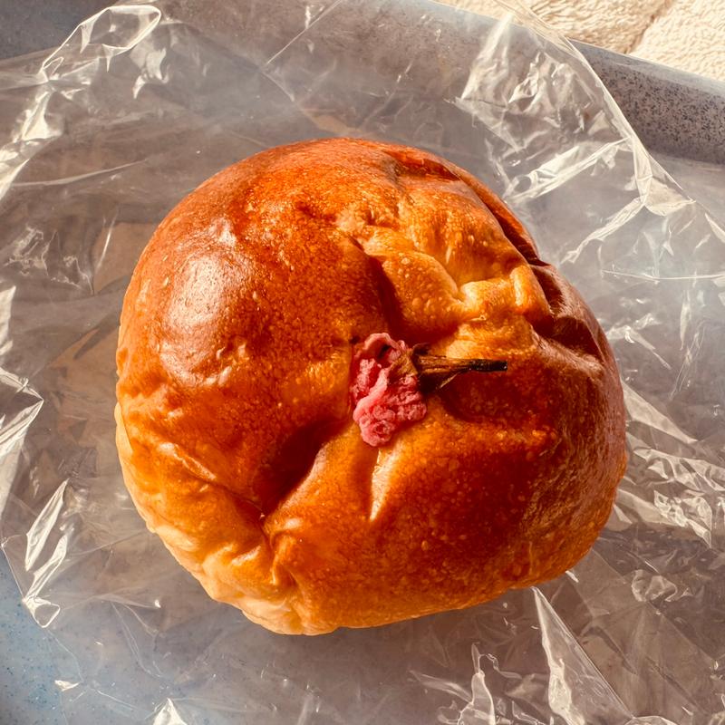 こしあんぱん(Bakery AYUPAN)