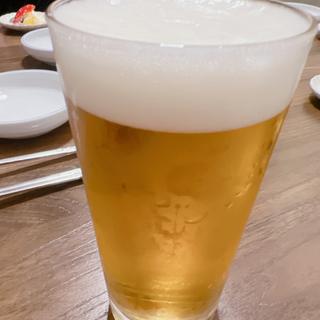 生ビール(純豆腐専門店 コチュ)