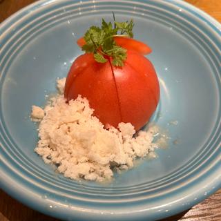 (CONA 船橋店)