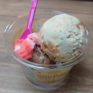 プッシュドチョコレート ホグワーツハウスディライト(サーティワンアイスクリーム 仙川島忠ホームズ店)