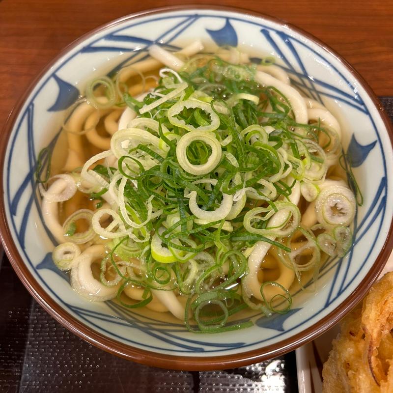 かけうどん(並)(丸亀製麺 仙台西多賀店 )