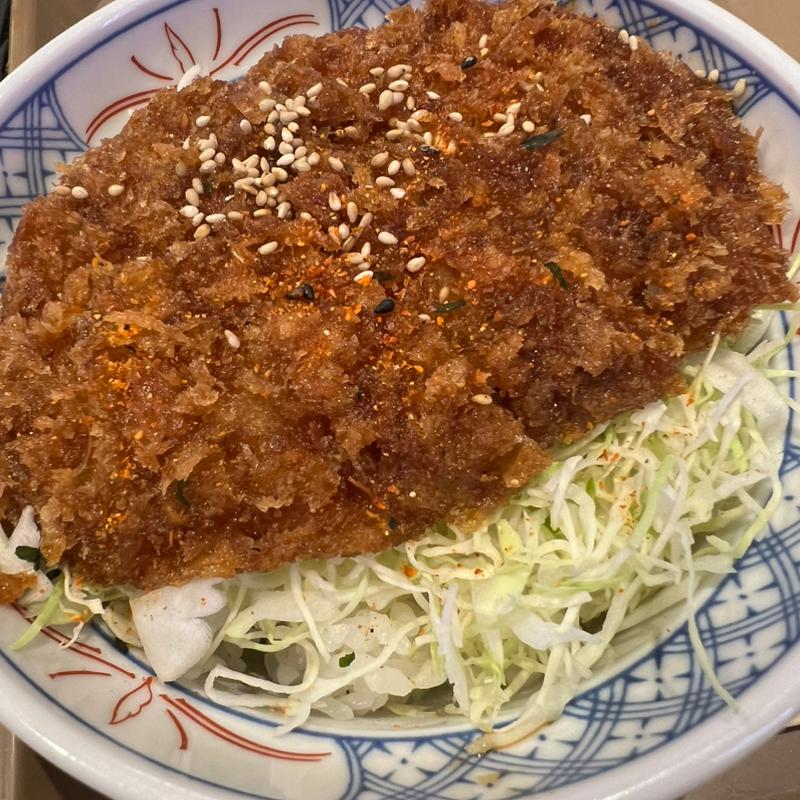 ソースカツ丼(上信越自動車道横川SA（上り線）峠の釜めし売店)