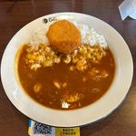 THE海老カレー＋ちょいトピ(CoCo壱番屋 常滑千代ヶ丘店)