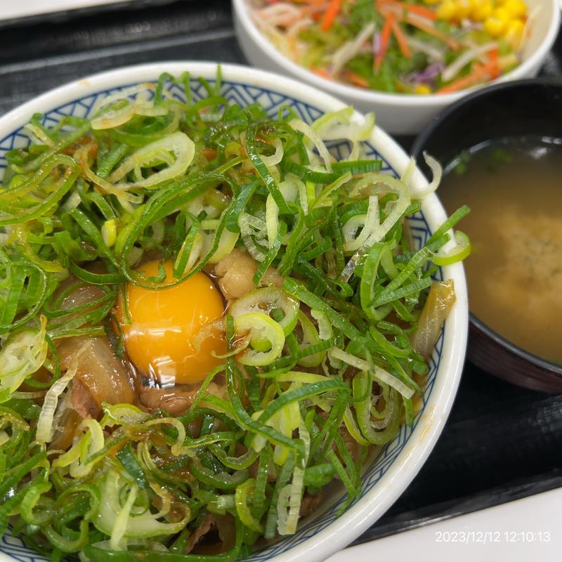 ネギ玉牛丼(吉野家 神保町店 )