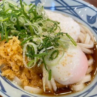 トロ玉ぶっかけ(丸亀製麺東村山)