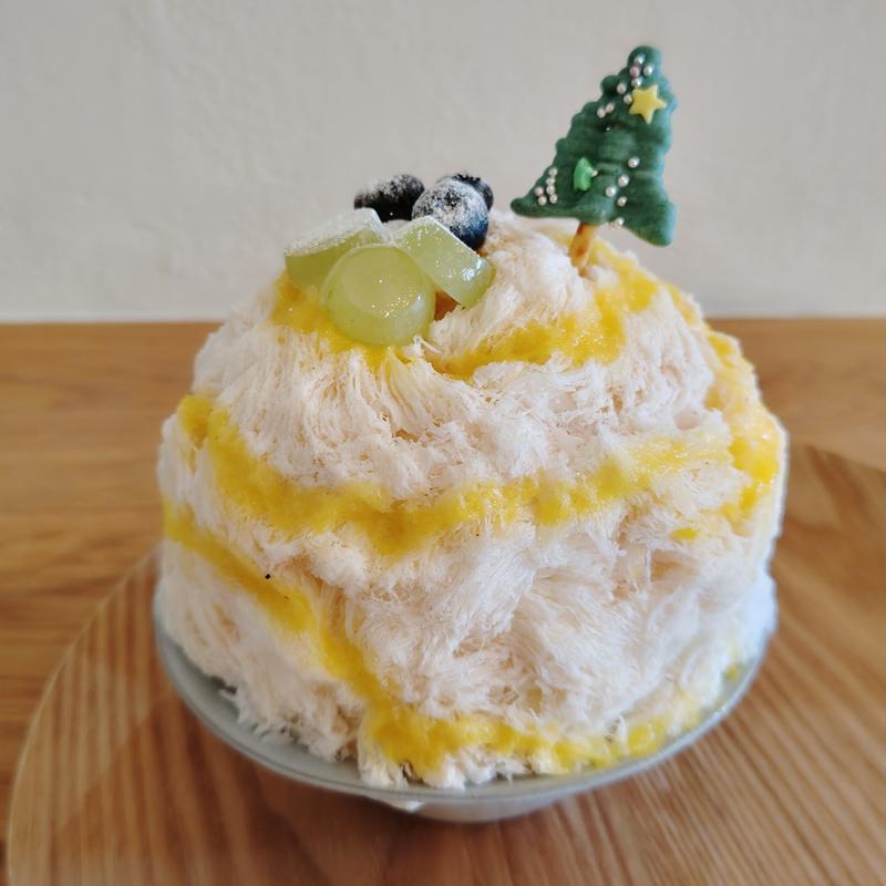 クリスマス氷(A.cocottobis(エーココットビス))