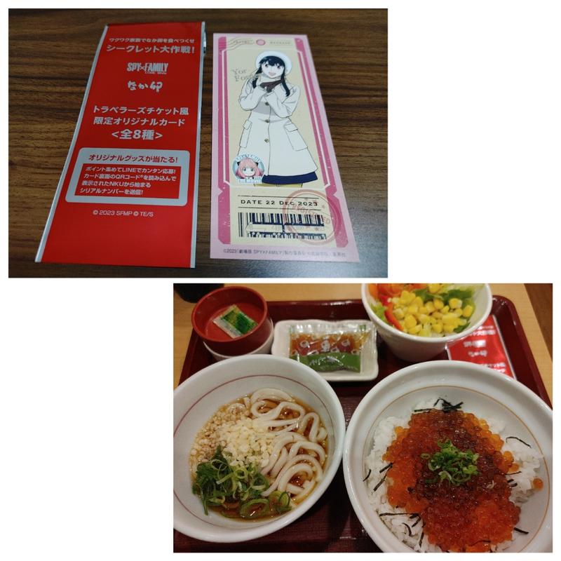 天然いくら丼 並＋はいからうどん(小)サラダセット(なか卯 平井南口店)