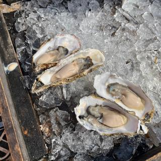 生牡蠣/2個(2個サービス≒実質4個)(那珂湊お魚センター)