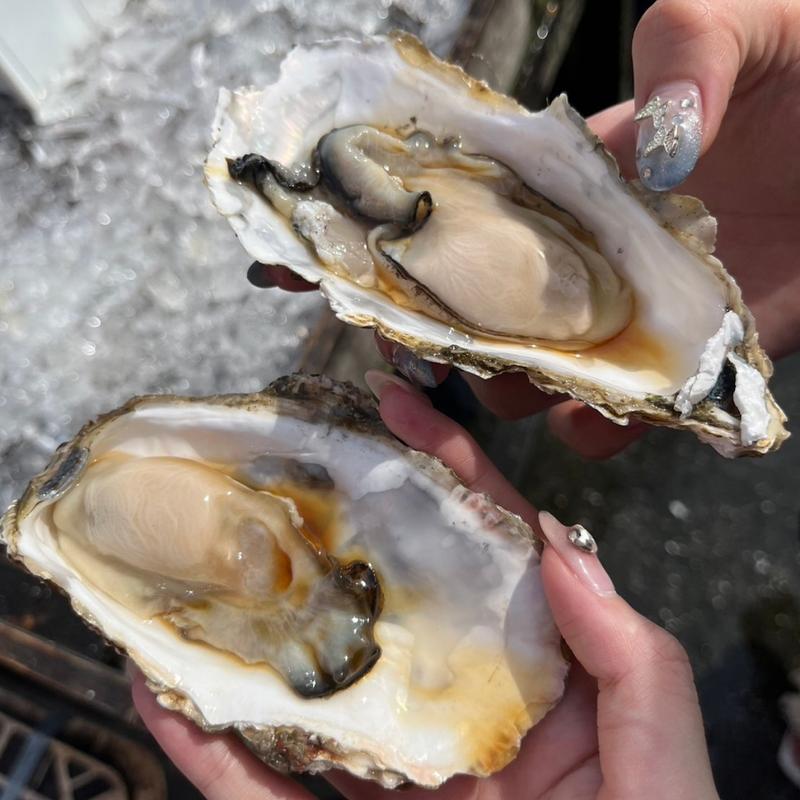 生牡蠣/2個(2個サービス≒実質4個)(那珂湊お魚センター)