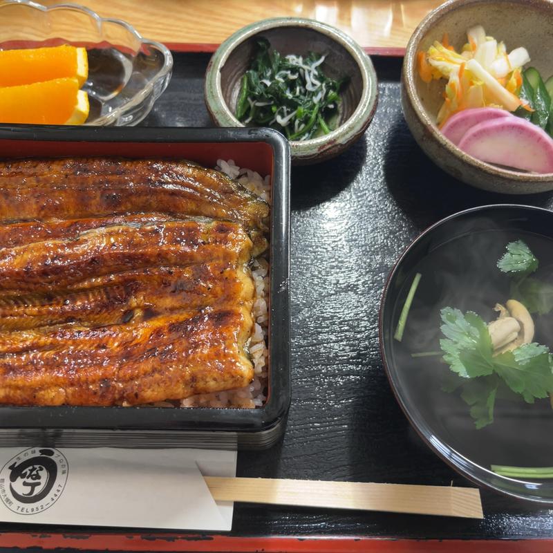 うな重(特)(うな丁 )