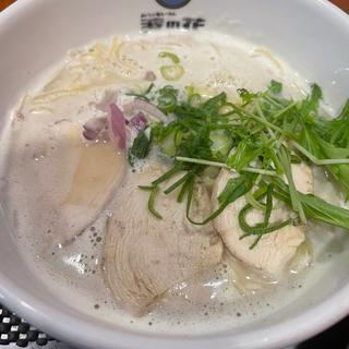 鶏白湯ラーメン(塩ラーメン波の花　亀岡店)