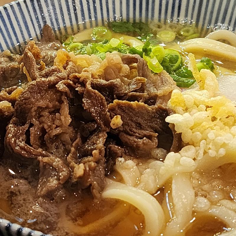 肉うどん(さぬき亭製麺所 )