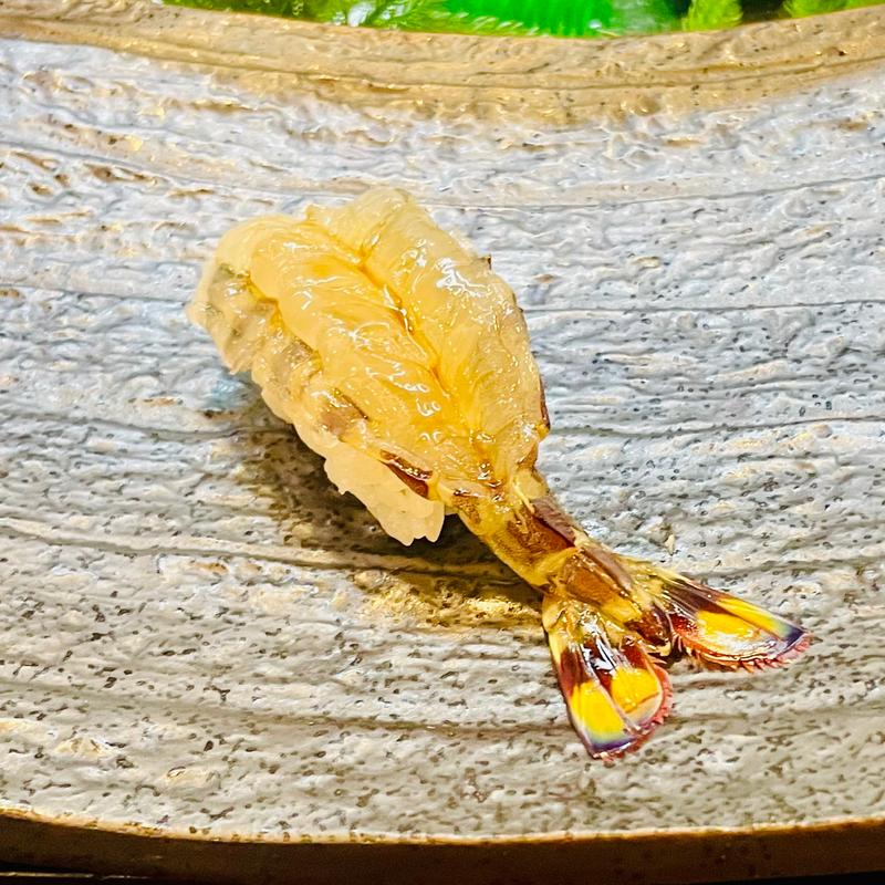 活車えび(大黒鮨)