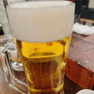 生ビール(焼肉ホルモン 七厘いちわ経堂店)