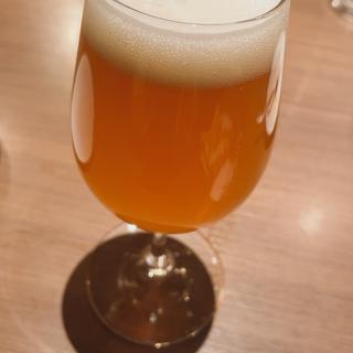クラフトビール(ミア・ボッカ 札幌駅北口店)