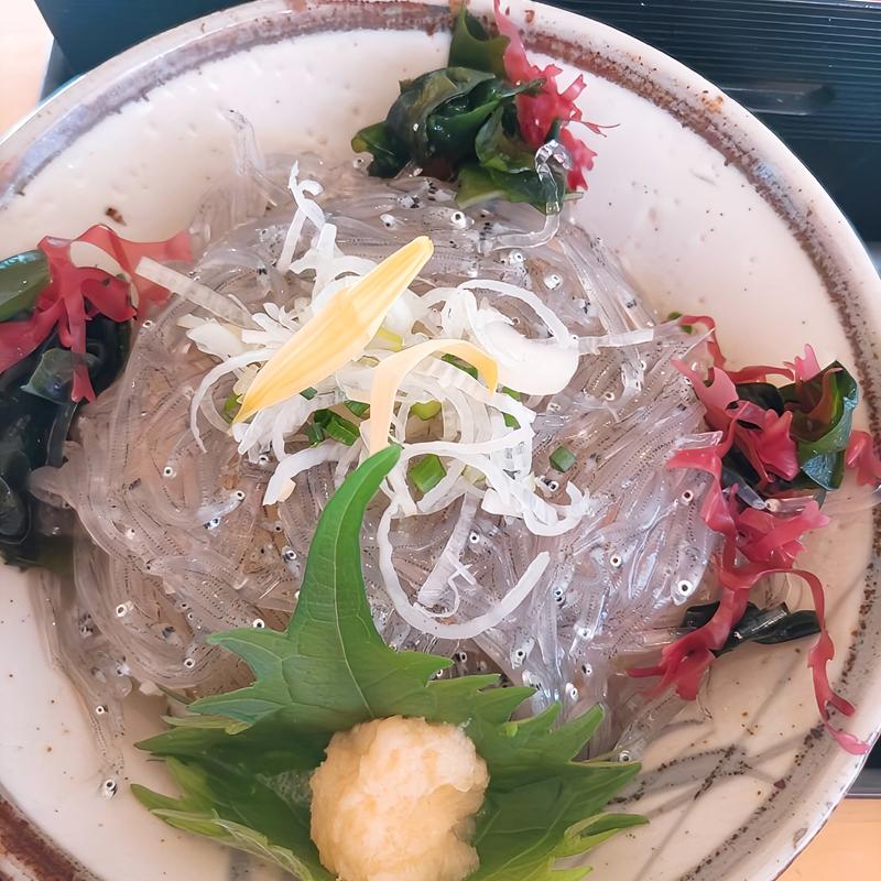 しらす御膳(快飛)