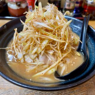 味噌ネギラーメン(麺唐)