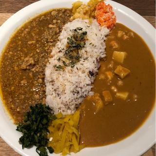 2種カレープレート(Time is Curry シャポー市川店)