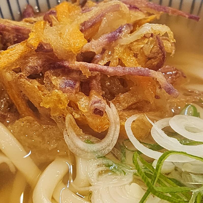 かき揚げ天ぷらうどん(さぬき亭製麺所 )