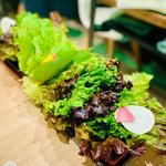 サムギョプサル用の野菜(サムギョプサルと韓国料理 TUTUMU38 吉祥寺店)