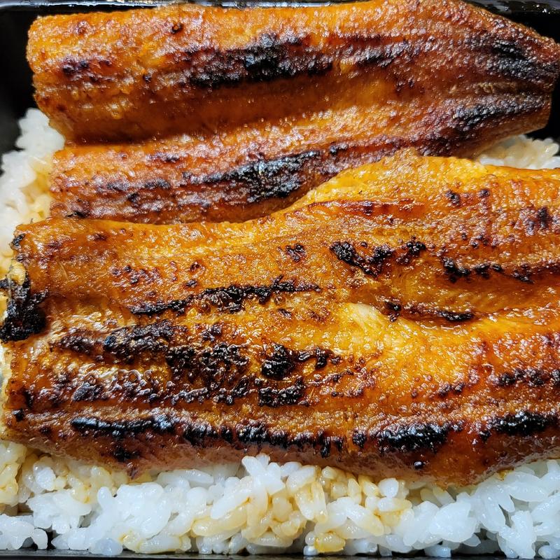 うな重(うなぎ屋 せいろ （うなぎや せいろ）)