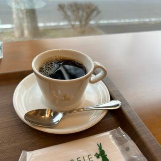 コーヒー(シベールの杜 八木山店)