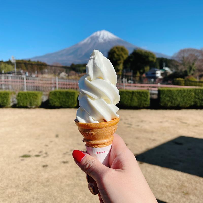 ソフトクリーム(ちどり屋)