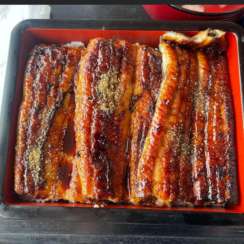 特うな重(うなぎ 静可)