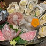 コース　刺身盛合せ(新鮮組)