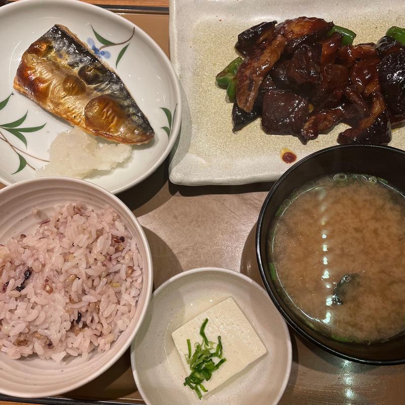 大豆ミートのなす味噌と焼魚の定食(やよい軒 三川町店 )