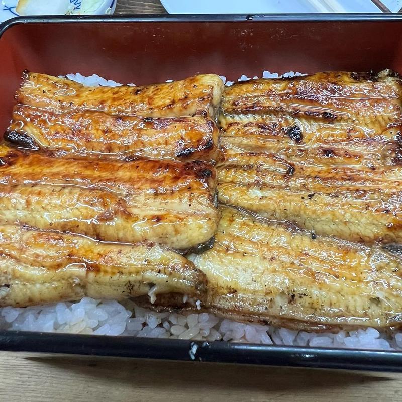 うな重(うなぎ ほさかや)