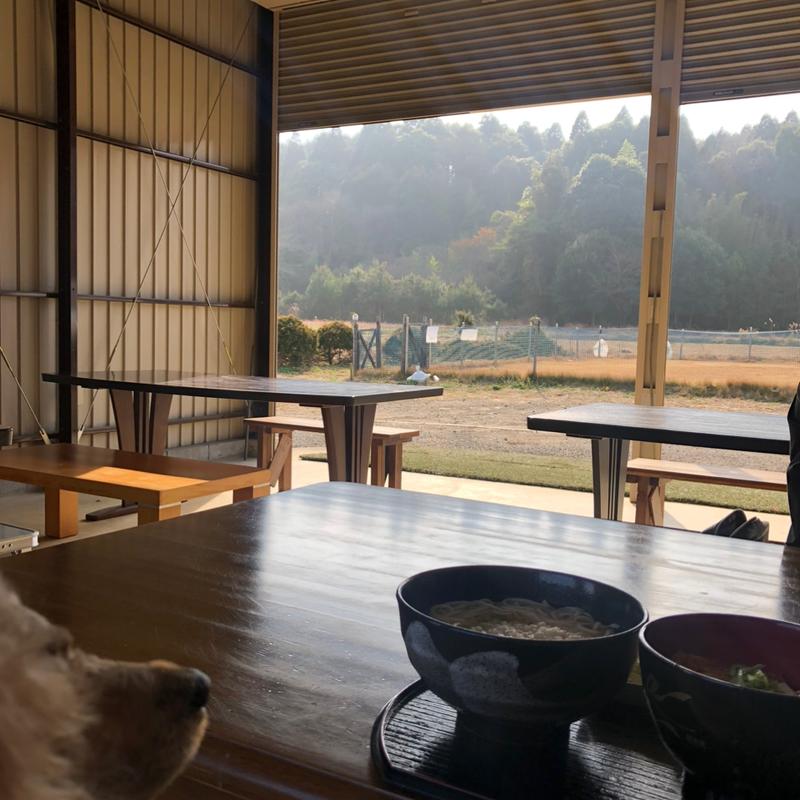 (五島うどん バラモン太)