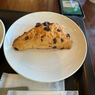 (スターバックスコーヒー 越谷イオンレイクタウン mori ガーデンウォーク店)