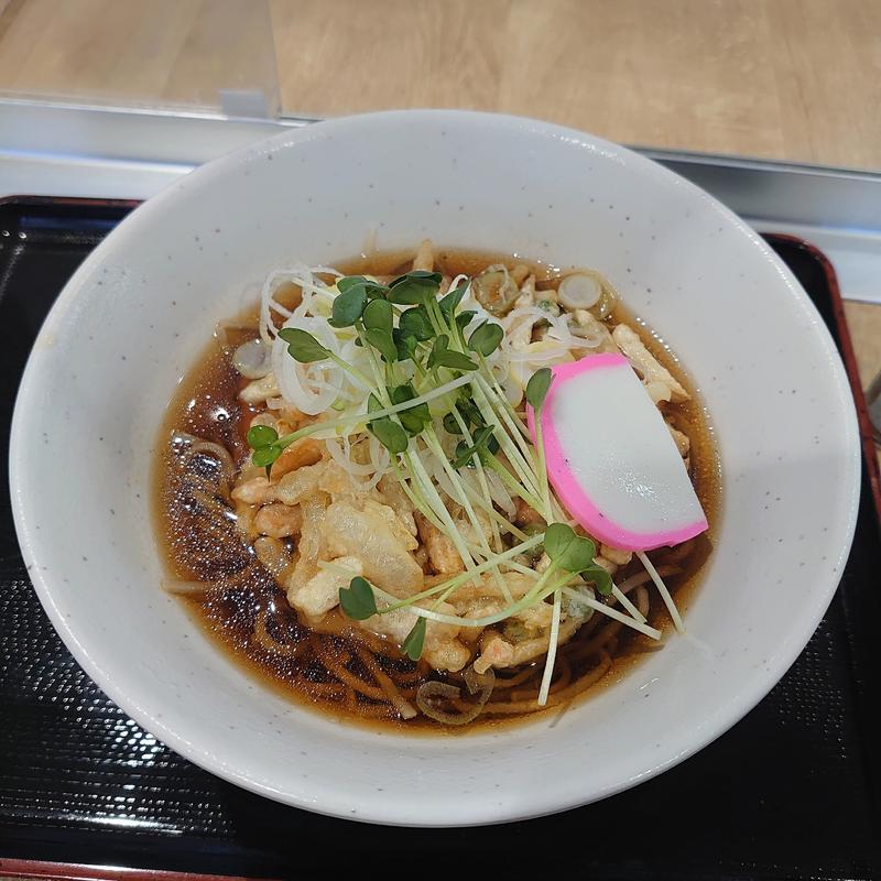 かき揚げそば(佐野サービスエリア（上り線） レストラン )