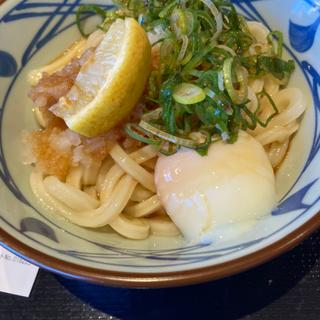 おろし醤油うどん(小)(丸亀製麺Coaska Bayside Stores)