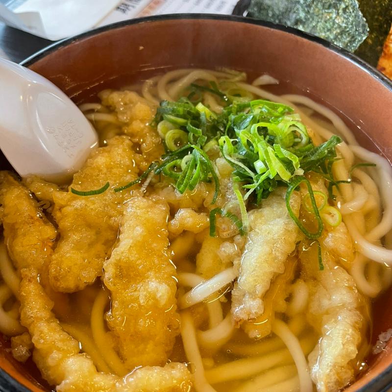 ごぼう天うどん(からたち)