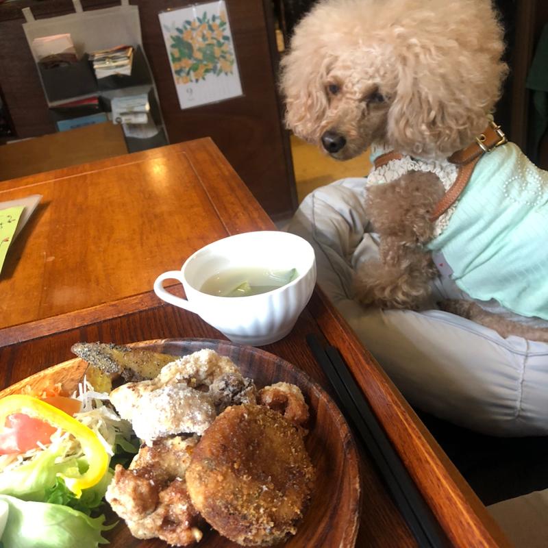 (ベジカフェ ハナウタ)