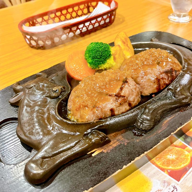 げんこつハンバーグ(炭焼きレストランさわやか 菊川本店)