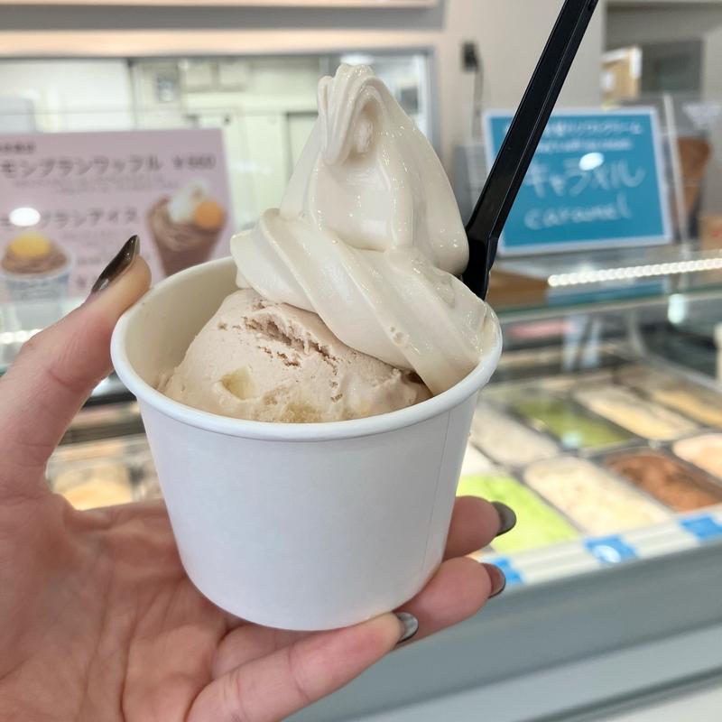 アイスソフト（キャラメルソフトクリーム・シナモンアップルアイスクリーム）(ソーワ （SOWA）)