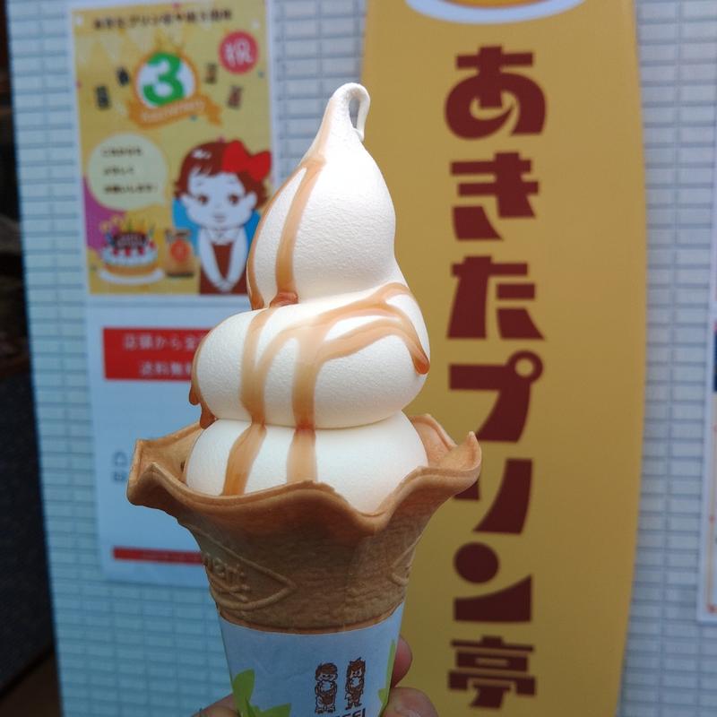 プリンソフト(みちのく懐かしの味 あきたプリン亭)