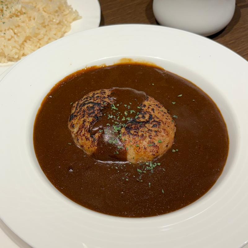 ハンバーグカレー(薬膳カレー&スープカレー　らいもん)