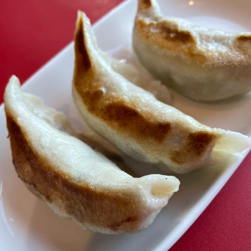 餃子(中国飯荘 山城)