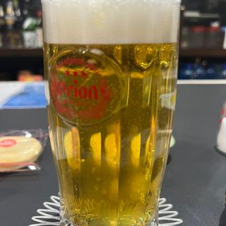 オリオン生ビール(すぎちゃん)