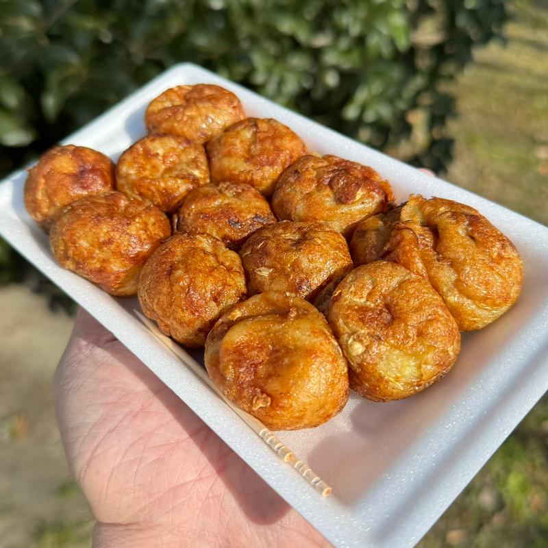 たこ焼き(ふじさん)