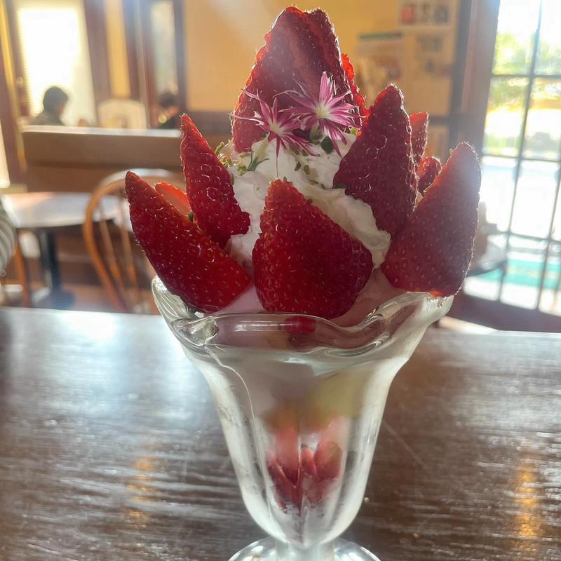 いちごパフェ(カノン珈琲)